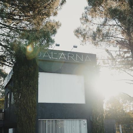 Dalarna Sma Hotell Chihuahua Bagian luar foto