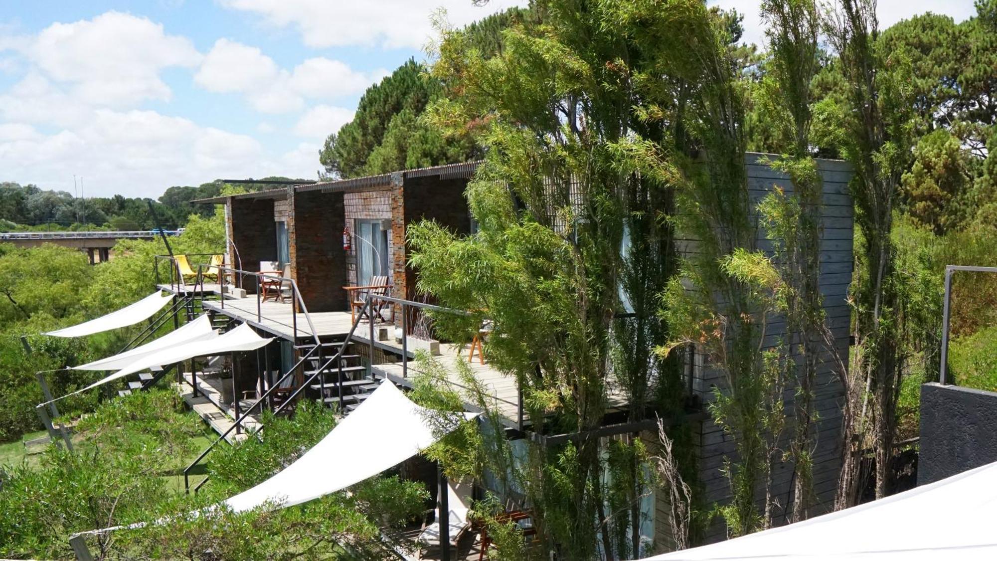 Dalarna Sma Hotell Chihuahua Bagian luar foto